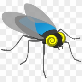 Net-winged Insects, HD Png Download - mad scientist png