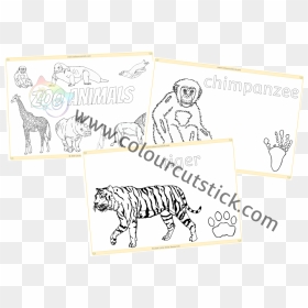 Zoo Animal Colouring Cover - Cartoon, HD Png Download - scroll down png