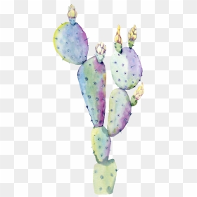 #freetoedit #ftestickers #watercolor #cactus #succulent - Water Coloring Ideas Plants, HD Png Download - watercolor cactus png
