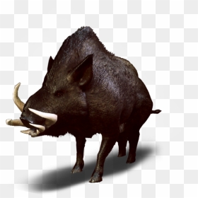 Witcher 3 Wild Boar , Png Download, Transparent Png - boar png