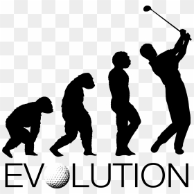 Evolution Of Women, Png Download - Human Evolution Stages Png, Transparent Png - golfer silhouette png