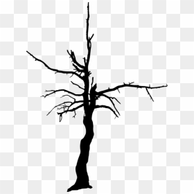Free Png Dead Tree Silhouette Png Images Transparent - Transparent Dead Tree, Png Download - dead tree silhouette png