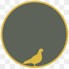 Michael Cera Png , Png Download - Tuneskit Spotify Converter, Transparent Png - michael cera png