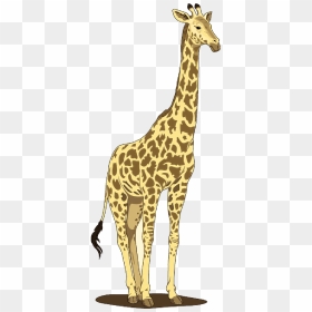 Giraffe, Long, Neck, Tail, Tall, Spots, Spot - Giraffe Clipart Png, Transparent Png - spot png