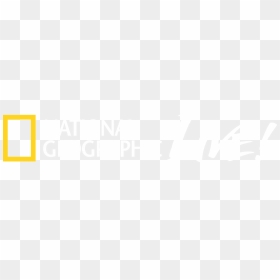 National Geographic Different Logo, HD Png Download - spinosaurus png