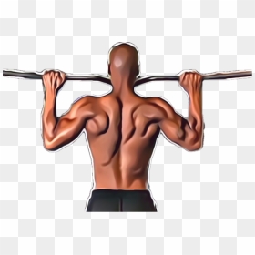 Transparent Muscular Arm Png - Barechested, Png Download - flexing arm png