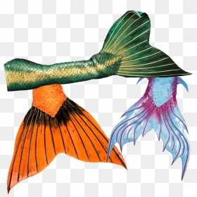 High Quality Silicone Mermaid Tails From Mermaid Kat - Mermaid Silikone Tails, HD Png Download - mermaid tail silhouette png