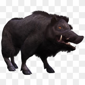 Wild Boar Png Images Transparent Background - Dog Licks, Png Download - boar png