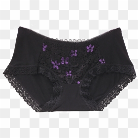 Underwear Lady Modal Lace Trim Fabric Transparent Low - Underpants, HD Png Download - lace trim png