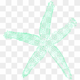 Starfish Clip Art Free, HD Png Download - mar png