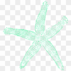 Starfish Clip Art Free, HD Png Download - mar png