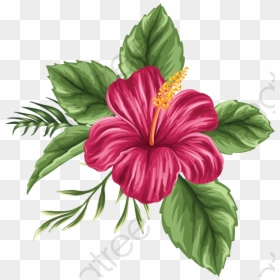 Hand Painted Hibiscus Flower, Flower Clipart, Hibiscus - Hawaiian Flower Png, Transparent Png - hibiscus clipart png