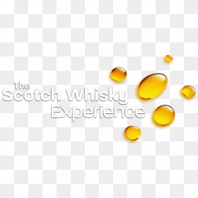 The Scotch Whisky Experience Blog The Latest Content - Scotch Whisky Experience Logo, HD Png Download - scotch png