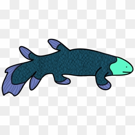 Amateurish Coelacanth - Shark, HD Png Download - howl's moving castle png