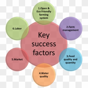 Key Success Factors - Data Quality Dimensions, HD Png Download - key to success png
