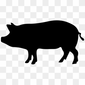 Wild Boar Clip Art - Porco Png, Transparent Png - boar png
