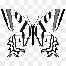 Monarch Butterfly Clipart Outline - Black And White Outline Of Butterfly, HD Png Download - butterfly outline png