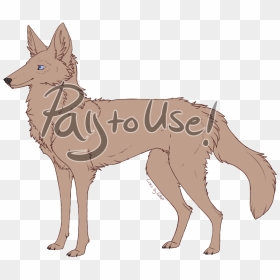 Black Backed Jackal - Kunming Wolfdog, HD Png Download - jackal png
