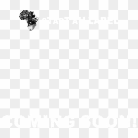 Elephant, HD Png Download - sal png