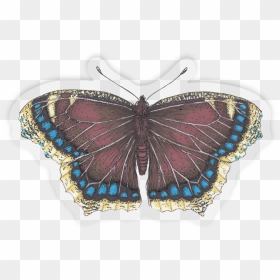 Mourning Cloak Sticker Outline, HD Png Download - butterfly outline png