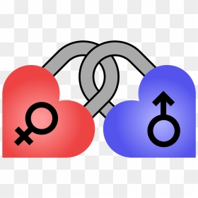 Heart Padlocks Female Male - Male And Female Heart, HD Png Download - male female symbols png