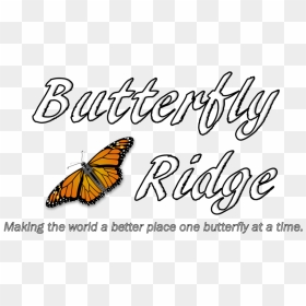 Butterfly Outline Png, Transparent Png - butterfly outline png