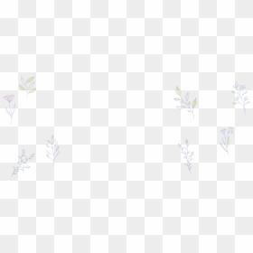 Floral Banner Natures Hand-02, HD Png Download - floral banner png