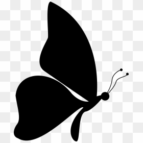 Shape From Side View - Butterfly Side View Vector, HD Png Download - butterfly outline png