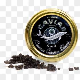 Premier Oscietra - Petrovaradin Fortress, HD Png Download - caviar png