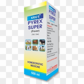Flyer, HD Png Download - pyrex png