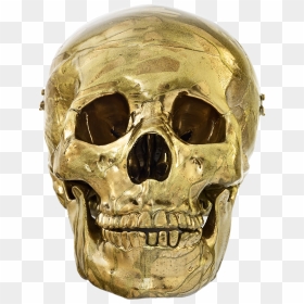 Damien Hirst "glorious Magnificent Imperial Gold Head - Damien Hirst, HD Png Download - gold skull png