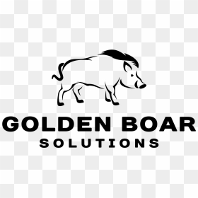 Golden Boar Solutions Logo - Domestic Pig, HD Png Download - boar png