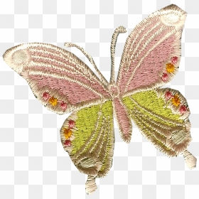 Tiny Clip Butterfly - Gonepteryx Rhamni, HD Png Download - butterfly outline png