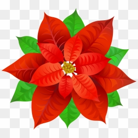 Poinsettias Clipart Gold, HD Png Download - christmas flower png