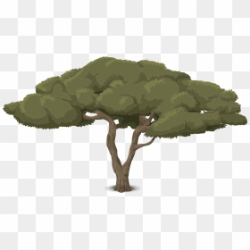 Animation Tree Branches Png, Transparent Png - tree art png