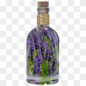 Lavender Plant Based Oils - Oil Glass Bottle Lavender, HD Png Download - lavender plant png