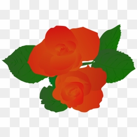 Illustration Illustrator Plant Rose Hand Drawn Red - Illustration, HD Png Download - plant vector png