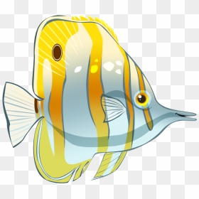 Chelsea Loren Edwards - Butterfly Fish Drawing, HD Png Download - butterfly outline png