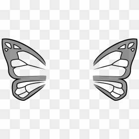 Clip Art, HD Png Download - butterfly outline png