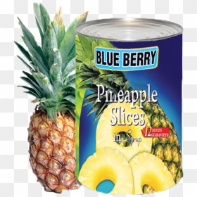 Ideal Home Range 16 Count Boston International 3-ply - Ananas Comosus Cross Section, HD Png Download - pineapple slice png