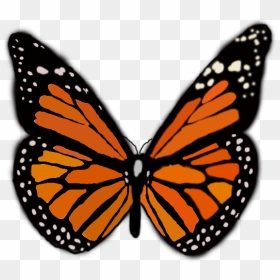 Monarch Butterfly 3d, HD Png Download - butterfly outline png