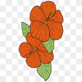 Red Hibiscus Flowers Clipart, HD Png Download - hibiscus clipart png