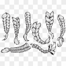 Hair Plaits And Braids Vectors - Braid Drawing, HD Png Download - braids png