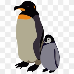 Emperor Penguin Clipart - Emperor Penguin, HD Png Download - emperor penguin png