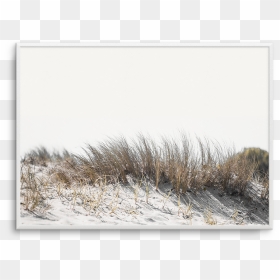 Drawing Beach Dune - Dune, HD Png Download - sand dunes png