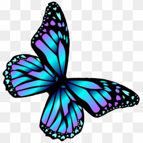 Transparent Butterfly Cartoon , Png Download, Png Download - borboleta png
