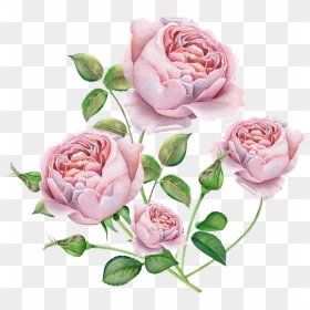 Rose Flower Bouquet Vector Png, Transparent Png - watercolor roses png