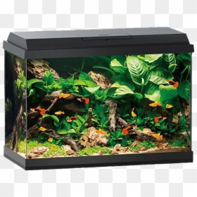 Aquarium Fish Tank Png Hd Image - Juwel 60 Primo, Transparent Png - aquarium png