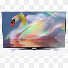 Swan Beautiful, HD Png Download - televisor png