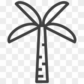 Palmtree - Hawaii, HD Png Download - white palm tree png